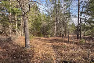 7584 Railroad Grade, Nester, MI 48624 - Photo 123