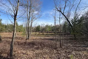 7584 Railroad Grade, Nester, MI 48624 - Photo 121