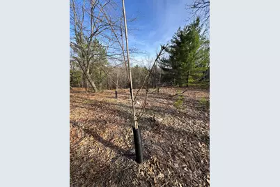 7584 Railroad Grade, Nester, MI 48624 - Photo 133