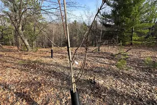 7584 Railroad Grade, Nester, MI 48624 - Photo 133
