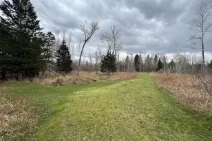 850 Jessica Ln, Rose City, MI 48654 - Photo 65