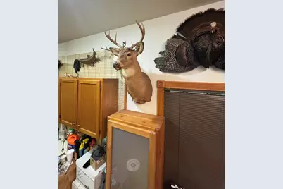 850 Jessica Lane, Rose City, MI 48654 - Photo 113