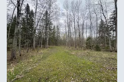 850 Jessica Lane, Rose City, MI 48654 - Photo 61