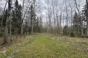 850 Jessica Ln, Rose City, MI 48654 - Photo 61
