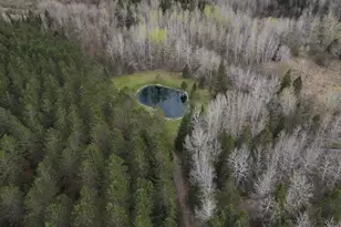 850 Jessica Ln, Rose City, MI 48654 - Photo 21