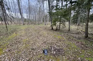 850 Jessica Ln, Rose City, MI 48654 - Photo 63