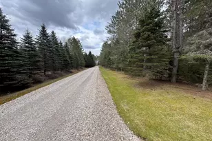 850 Jessica Ln, Rose City, MI 48654 - Photo 53