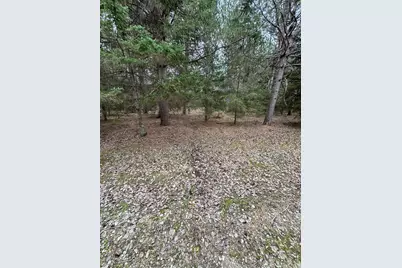 850 Jessica Lane, Rose City, MI 48654 - Photo 83