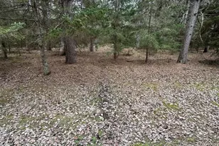 850 Jessica Ln, Rose City, MI 48654 - Photo 83