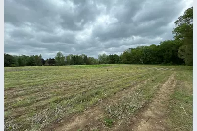 V/L House Street NE, Belmont, MI 49306 - Photo 3