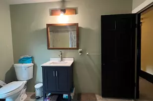 114 W Leigh St, Homer, MI 49245 - Photo 39