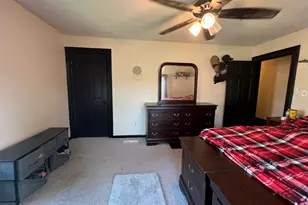 114 W Leigh St, Homer, MI 49245 - Photo 29