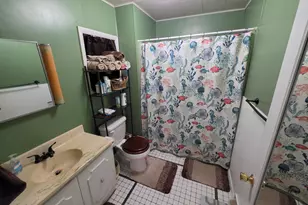 213 S Higbee St, Reed City, MI 49677 - Photo 21