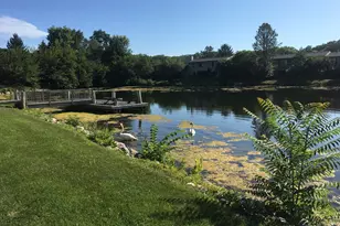 740 Peninsula Ct, Ann Arbor, MI 48105 - Photo 57
