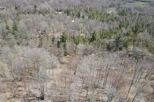 11401 Little George Lake Rd, Gladwin, MI 48624 - Photo 43