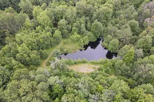 11401 Little George Lake Rd, Gladwin, MI 48624 - Photo 33