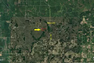 11401 Little George Lake Rd, Gladwin, MI 48624 - Photo 105