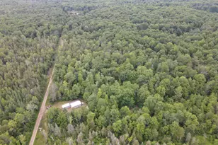 11401 Little George Lake Rd, Gladwin, MI 48624 - Photo 31