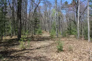 11401 Little George Lake Rd, Gladwin, MI 48624 - Photo 37