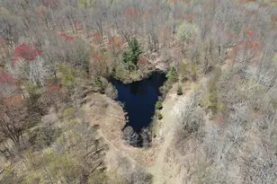 11401 Little George Lake Rd, Gladwin, MI 48624 - Photo 13