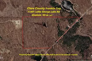 11401 Little George Lake Rd, Gladwin, MI 48624 - Photo 3