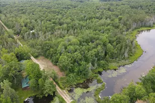 11401 Little George Lake Rd, Gladwin, MI 48624 - Photo 27