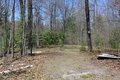 11401 Little George Lake Road, Gladwin, MI 48624 - Photo 49