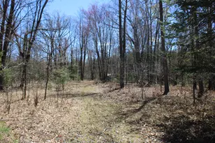 11401 Little George Lake Rd, Gladwin, MI 48624 - Photo 35