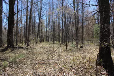 11401 Little George Lake Road, Gladwin, MI 48624 - Photo 53
