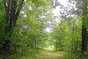 11401 Little George Lake Rd, Gladwin, MI 48624 - Photo 97