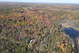11401 Little George Lake Rd, Gladwin, MI 48624 - Photo 29
