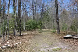 11401 Little George Lake Rd, Gladwin, MI 48624 - Photo 35