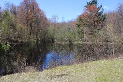 11401 Little George Lake Road, Gladwin, MI 48624 - Photo 57