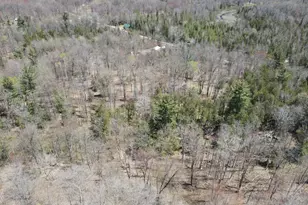 11401 Little George Lake Rd, Gladwin, MI 48624 - Photo 45