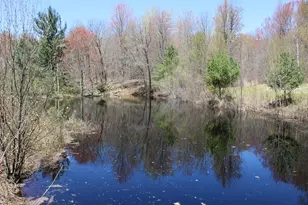 11401 Little George Lake Rd, Gladwin, MI 48624 - Photo 59