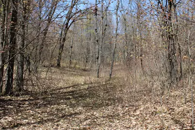 11401 Little George Lake Road, Gladwin, MI 48624 - Photo 65
