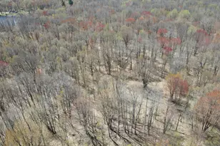11401 Little George Lake Rd, Gladwin, MI 48624 - Photo 15