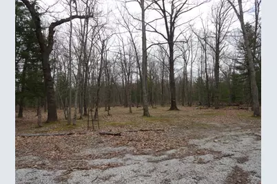 1035 Udell Hills Fire Tower Road, Manistee, MI 49660 - Photo 9