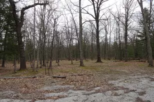 1035 Udell Hills Fire Tower Rd, Manistee, MI 49660 - Photo 9