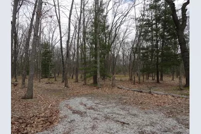 1035 Udell Hills Fire Tower Road, Manistee, MI 49660 - Photo 11