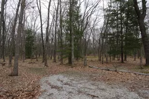 1035 Udell Hills Fire Tower Rd, Manistee, MI 49660 - Photo 11
