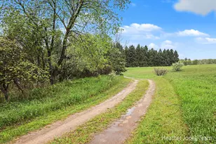 1320 W Stanton Rd, Stanton, MI 48888 - Photo 29