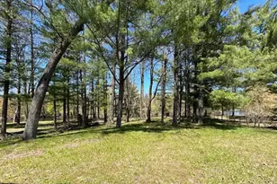 10158 S River Rd, Evart, MI 49631 - Photo 45