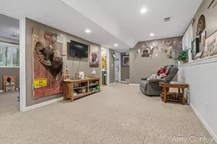 1214 Delaney Dr, Martin, MI 49070 - Photo 27