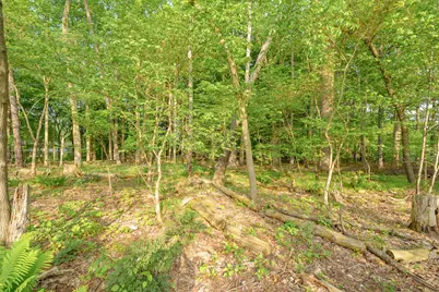314 Watkins Lane, Battle Creek, MI 49015 - Photo 39