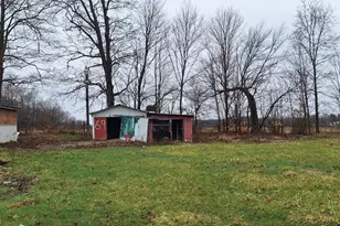 1251 E Station Rd, Sheridan, MI 48884 - Photo 11