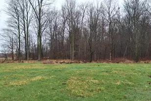 1251 E Station Rd, Sheridan, MI 48884 - Photo 9