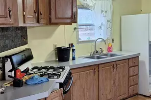 1251 E Station Rd, Sheridan, MI 48884 - Photo 5