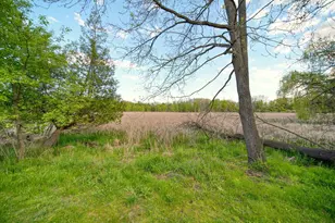 1729 Plateau Dr, Jackson, MI 49203 - Photo 51