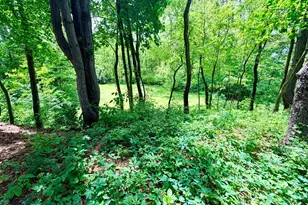 1346 W Marquette Woods Rd, Saint Joseph, MI 49085 - Photo 53